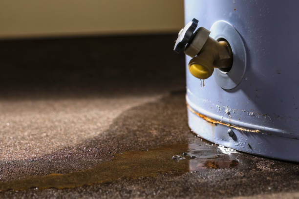  Allentown, NJ Water damage restoration Pros