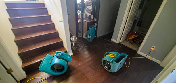Best Professional water damage repair  in Allentown, NJ
