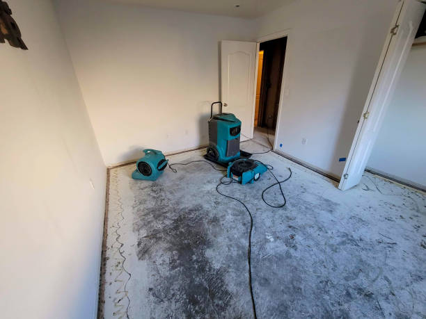 Best Water damage restoration near me  in Allentown, NJ