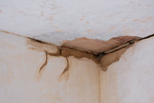 Water damage restoration experts in NJ
