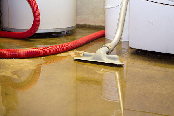 Best 24-hour water damage restoration  in Allentown, NJ